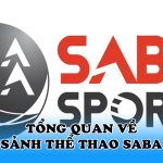 Tổng quan về sảnh thể thao Saba