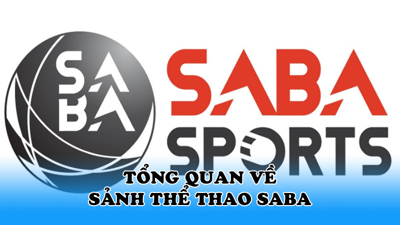Tổng quan về sảnh thể thao Saba